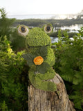 Froggy Plush Toy, Ultra-Soft Cuddly Friend