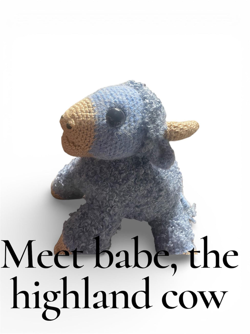 Meet High highland herd