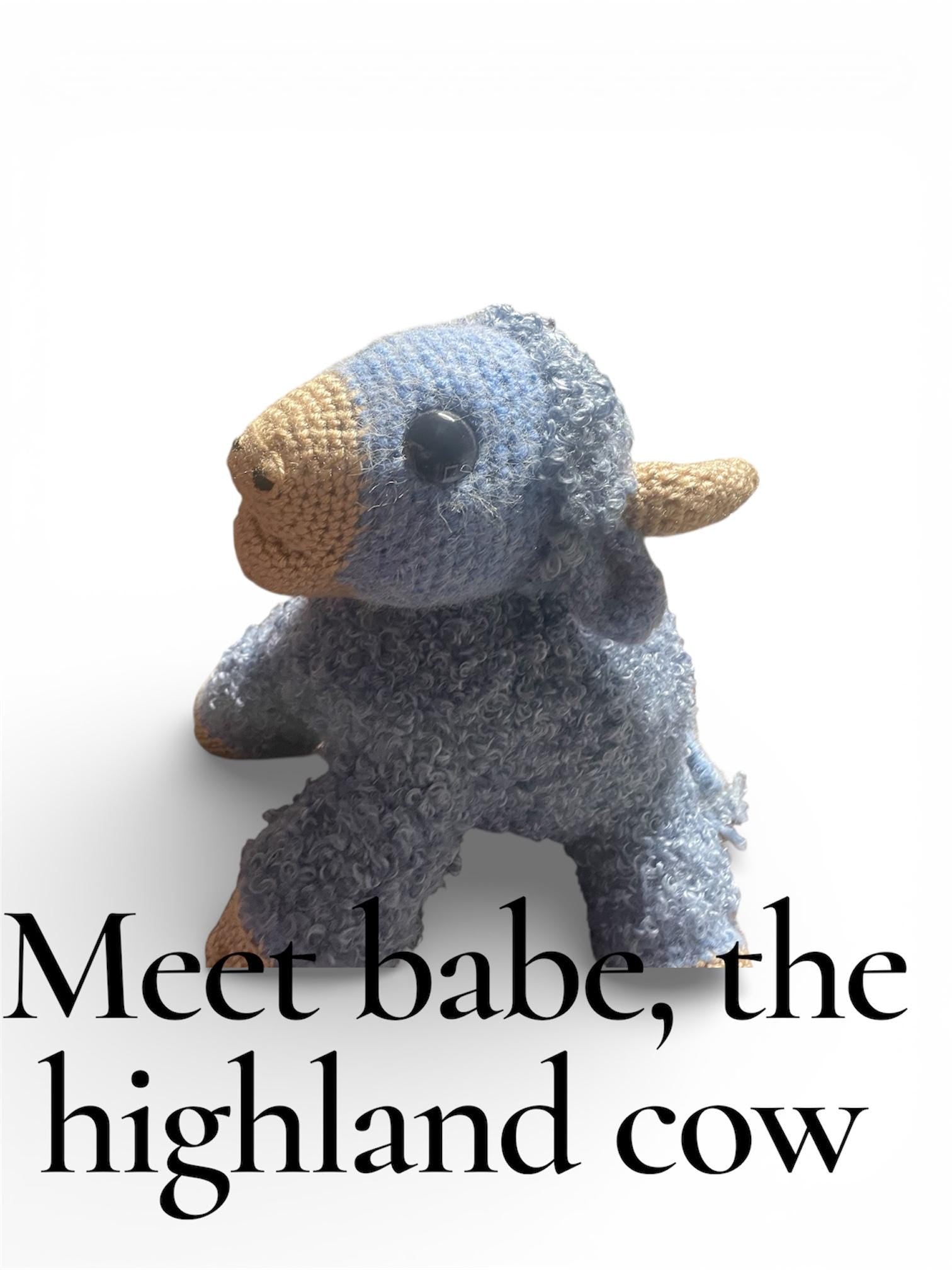 Meet High highland herd